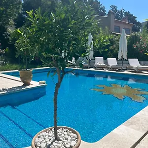 Angelussi Salon-de-Provence